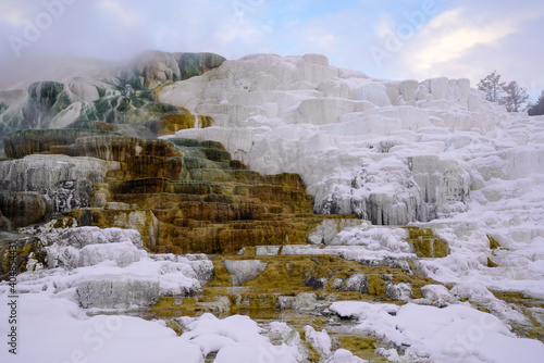 Mammoth Hot Springs - Winter Steam