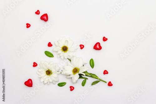 Red hearts and fresh fragrant chrysanthemums isolated on white background