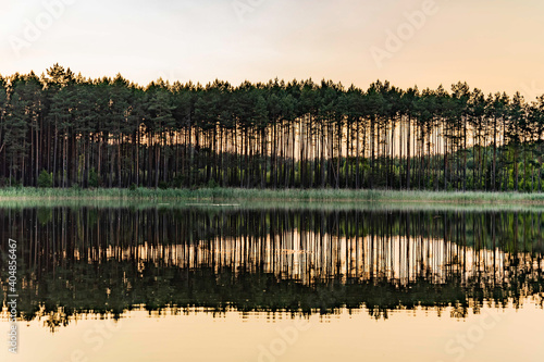 Poland lake  photo