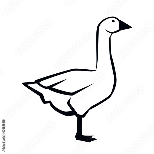 Gans