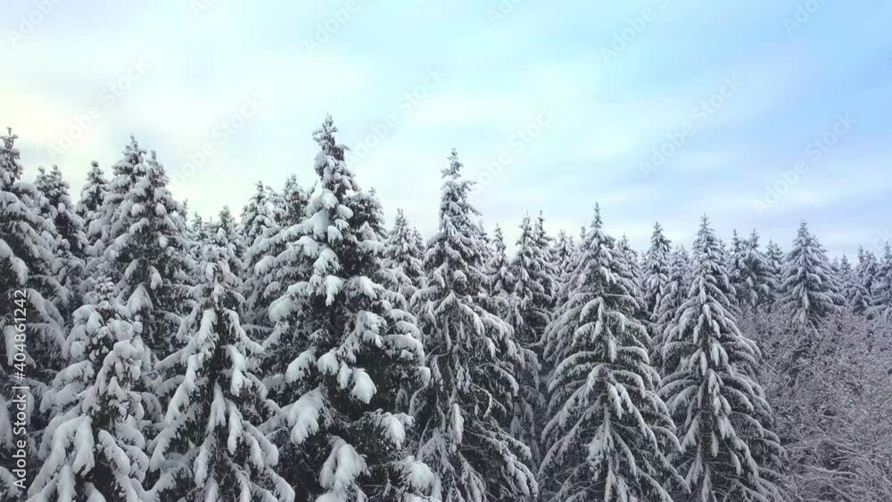 Winter forest nature snow-covered winter trees landscape. recreation travel and tourism frosty tree tops bright colors aerial photography . The sky is on the horizon. Winter forest nature snow-covered winter trees landscape. recreation travel and tourism frosty tree tops bright colors aerial photography . The sky is on the horizon.