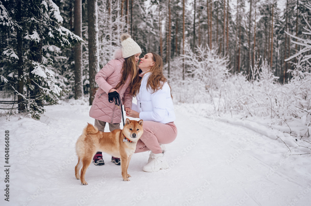 Happy family young mother and little cute girl in pink warm outwear walking having fun with red shiba inu dog in snowy white cold winter forest outdoors. Family sport vacation activities. Happy family young mother and little cute girl in pink warm outwear walking having fun with red shiba inu dog in snowy white cold winter forest outdoors. Family sport vacation activities.