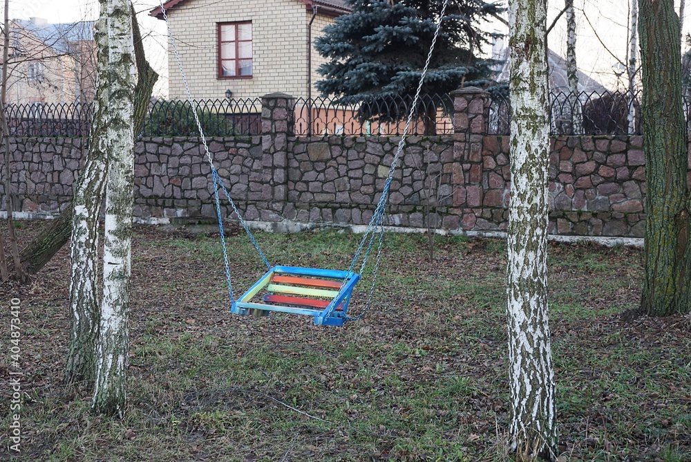 one colored wooden swing hanging on iron chains on two white birch trees over the green grass in the park