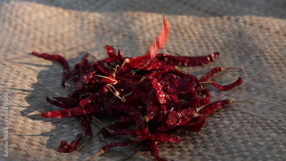 Organic red chili , chilli cayenne pepper Indian spices woman sun