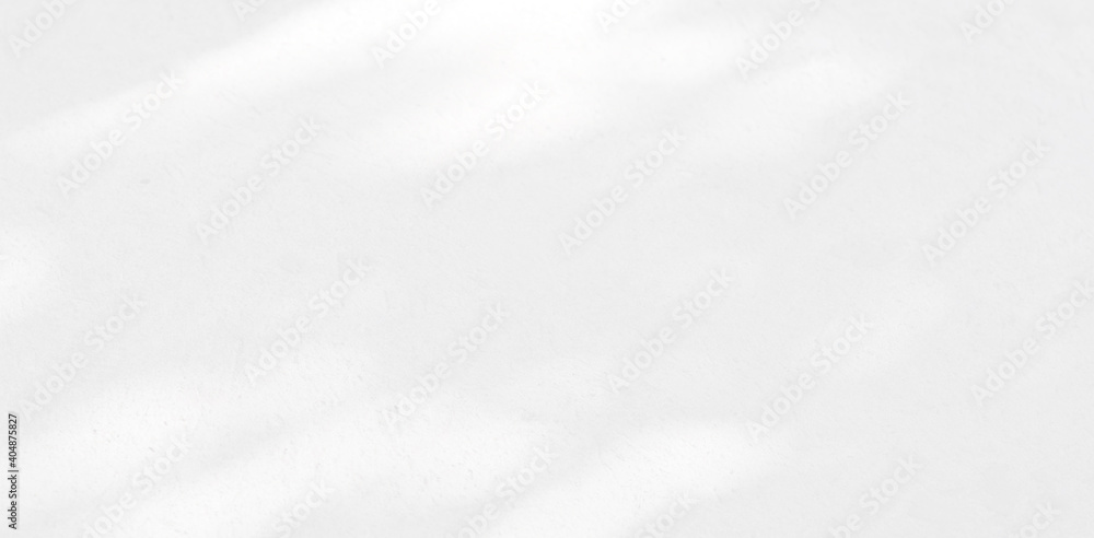 Abstract Shadow. blur background. gray leaves that reflect concrete walls on a white wall surface for blurred backgrounds and monochrome wallpapers. Abstract Shadow. blur background. gray leaves that reflect concrete walls on a white wall surface for blurred backgrounds and monochrome wallpapers.