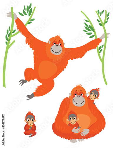 Family of orangutans. Vector illustration