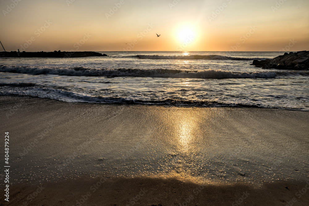 Sunrise in the beach  , Mar del Plata ,Argentina                 