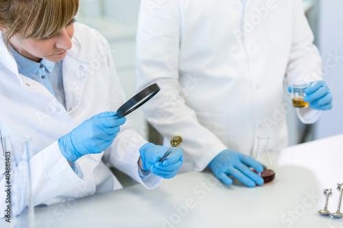 Two scientist inspecting marijuana bud in CBD laboratory