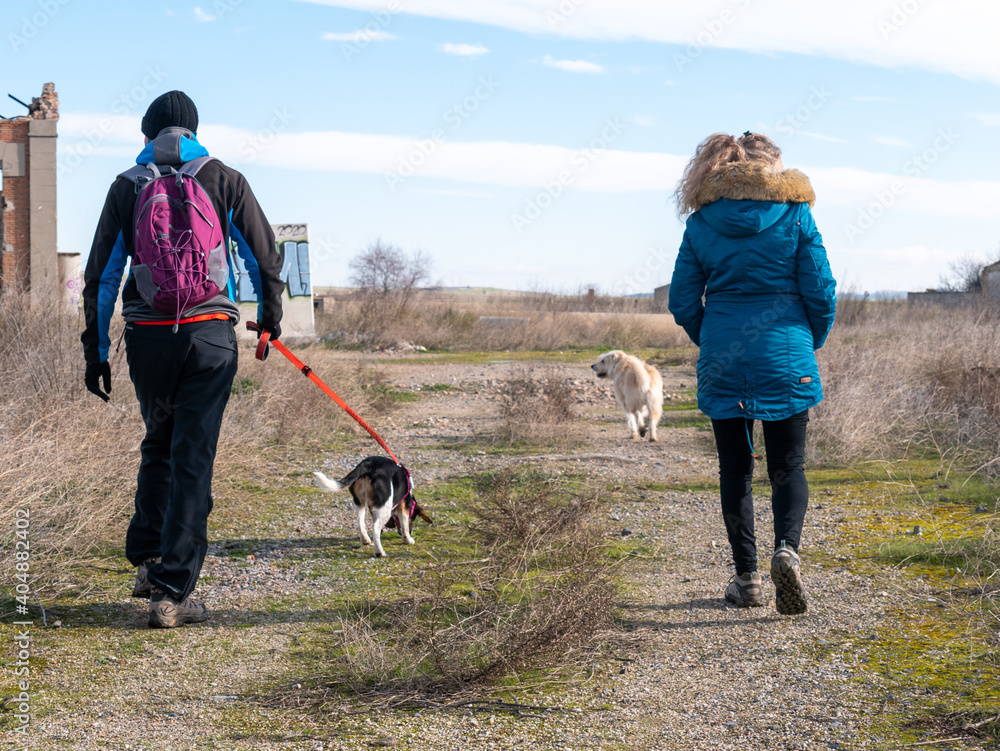 Shot of a male and a female walking with their adorable dog under the clear sky