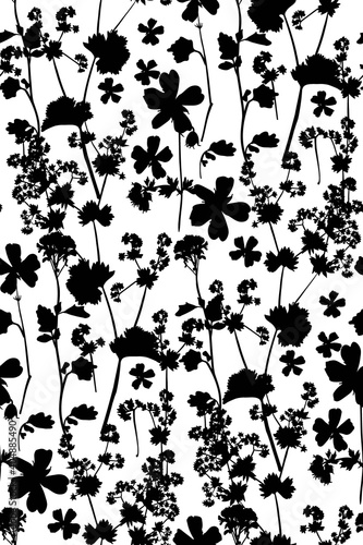 Floral seamless background pattern. Wild flowers hand drawn, vector. Spring summer. Fabric swatch, textile design, wrapping paper