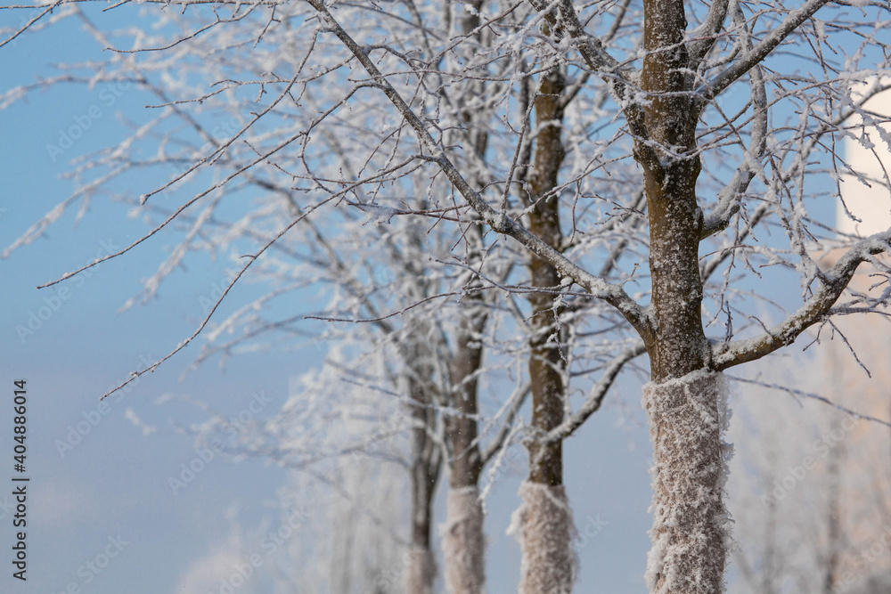 Winter landscape on a river with tree in frost Winter landscape on a river with tree in frost