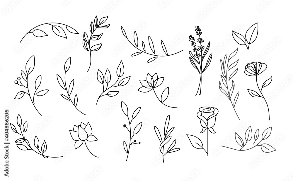 Set of Leaves, Branches and Flowers Set of Leaves, Branches and Flowers