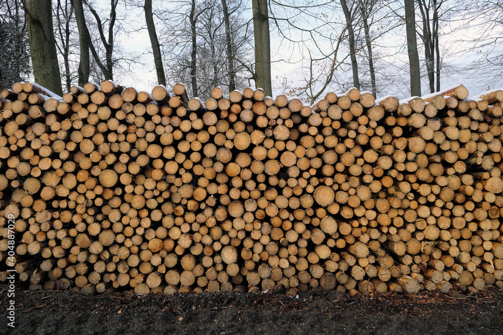 Rohholz aus gestapelten Baumstämmen am Waldrand im Winter - Stockfoto 