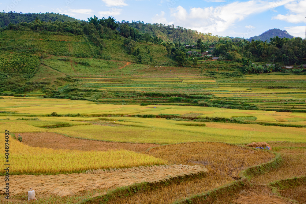 Fototapeta premium A landscape photo taken in Vietnam