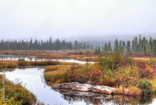 River flowing through a large marsh in the forest in morning mist Algonquin Park