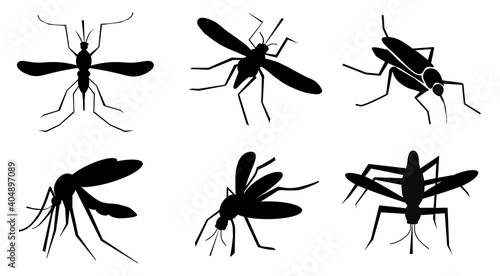 Set of black mosquitoes on white background. Illustration © New Africa