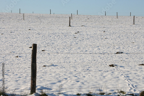 Viehweide im Winter. Kuhweide im Schnee. © Inka