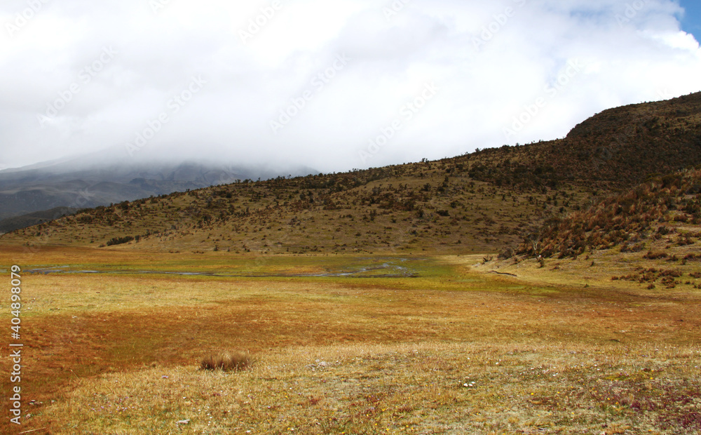 Andes landscape near Cotopaxi volcano in Ecuador