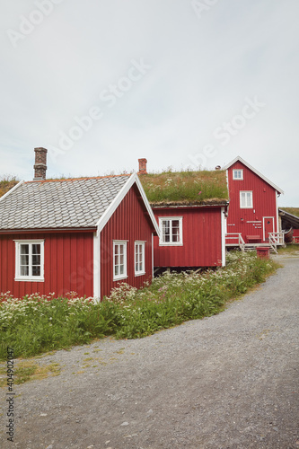 Case rosse tipiche alle isole Lofoten con erba sul tetto photo