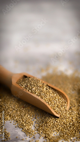 Selective focus. Macro. Quinoa in a wooden spatula. Place for your text.