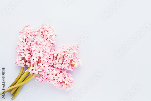 Pink hyacinth flowers bouquet on a light blue background. Top view, copy space