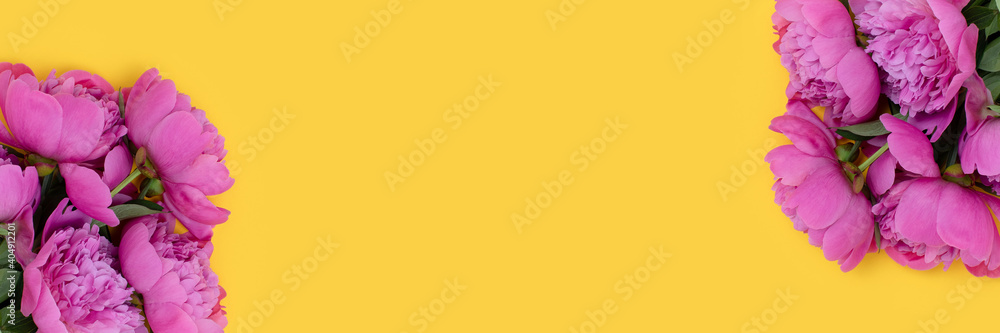 Banner with frame made of peony flowers bouquet on a yellow background. Floral composition with copyspace.