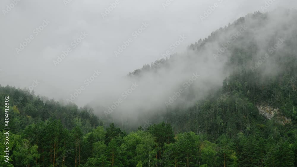 Timelapse: Morning floating fog in the wild mountain forests, in the taiga. Gray rainy cold morning, white dense fog. The concept of wildlife, ecology. Fog like smoke from a forest fire. 4K Timelapse: Morning floating fog in the wild mountain forests, in the taiga. Gray rainy cold morning, white dense fog. The concept of wildlife, ecology. Fog like smoke from a forest fire. 4K