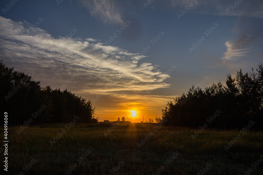 Green and yellow grass backdrop sunset