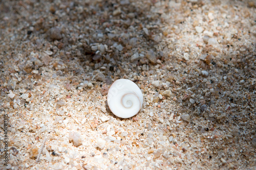 Spiralförmiges Auge von Shiva an einem Strand in Thailand