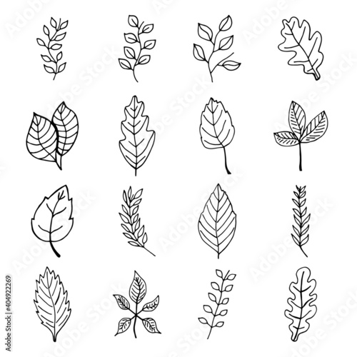 leaves outline sketches icons set
