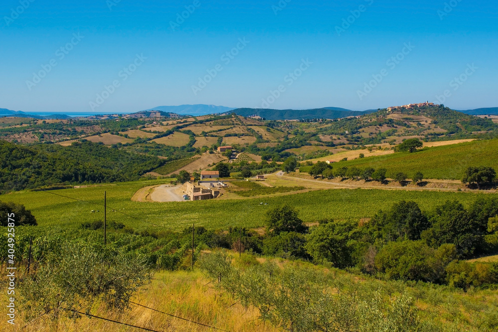 The late summer landscape near Scansano, Grosseto Province, Tuscany, Italy

