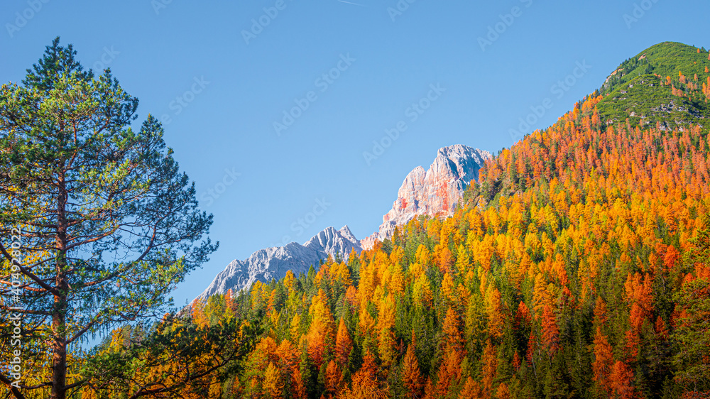 Φωτογραφία Panoramic view of magical nature in Dolomites at the national park Three Peaks (Tre Cime, Drei Zinnen) during sunset and golden Autumn, South Tyrol, Italy