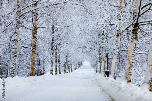 Winter, a road in a snow-covered park