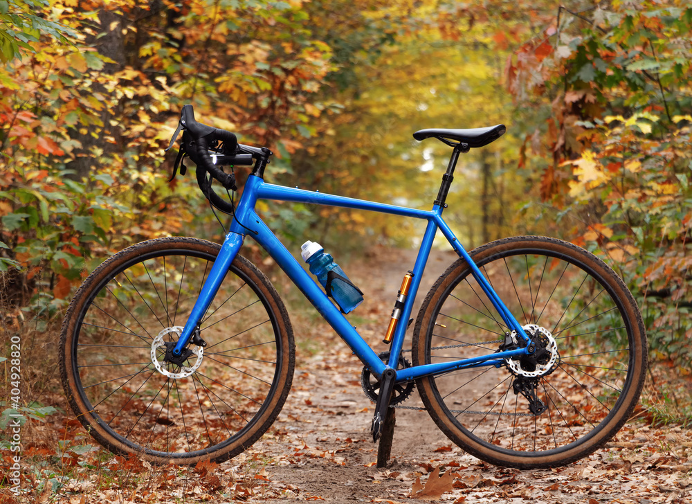 Side view of a modern bicycle on a forest trail.