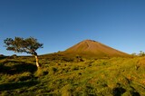 Vulkan Pico Azoren