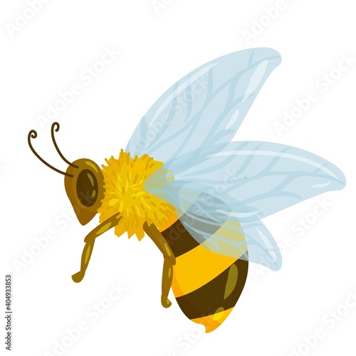 beautiful bee or wasp drawn in cartoon style. striped insect. yellow bee with blue transparent wings against a background of yellow honeycombs. vector illustration