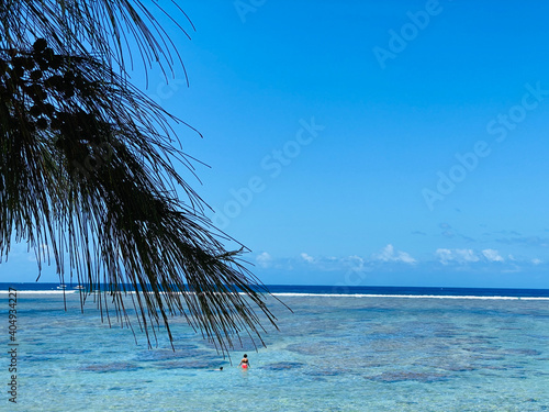 Tropical turquoise sea of Reunion island  white sand and palm tree