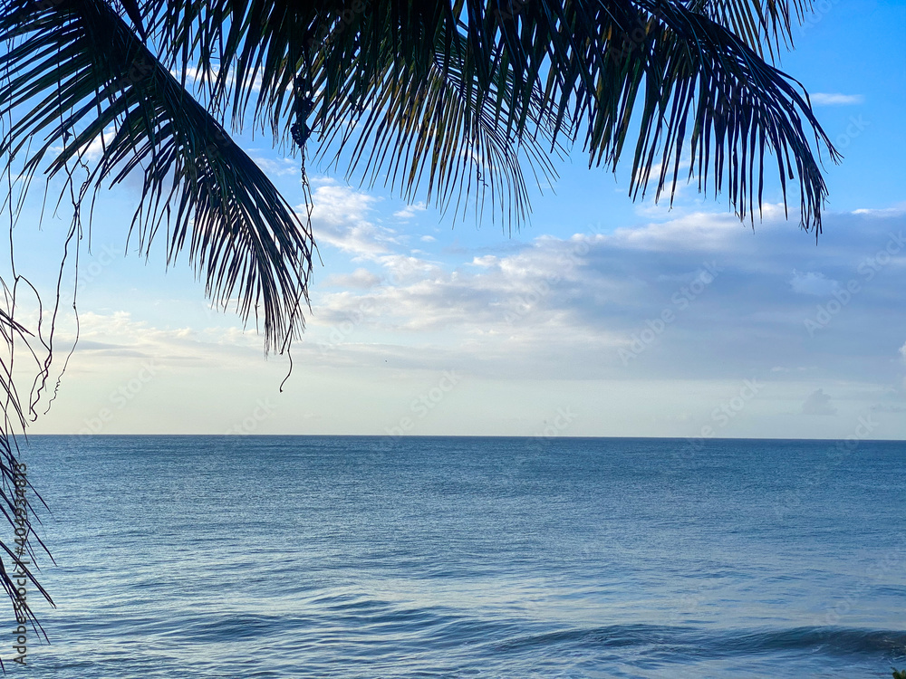 Naklejka premium Tropical turquoise sea of Reunion island, white sand and palm tree