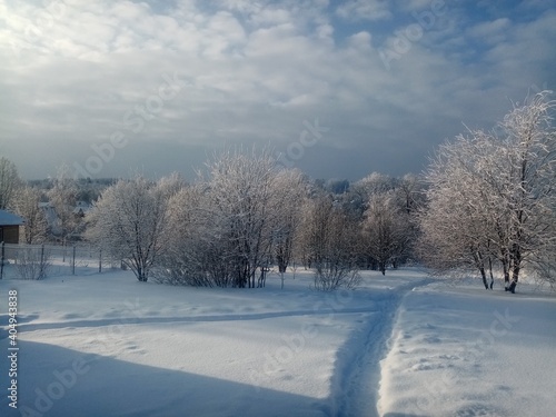 winter landscape with trees © Наталья Ананьева