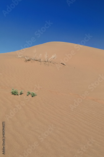Sand peak-steep slope-shifting top of megadune-Badain Jaran Desert. Inner Mongolia-China-1213