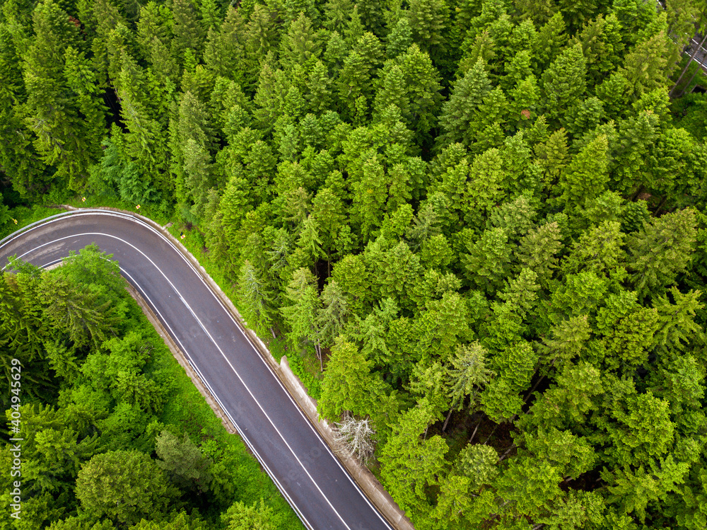 Aerial view of winding road in high mountain pass trough dense green pine woods. Aerial view of winding road in high mountain pass trough dense green pine woods.