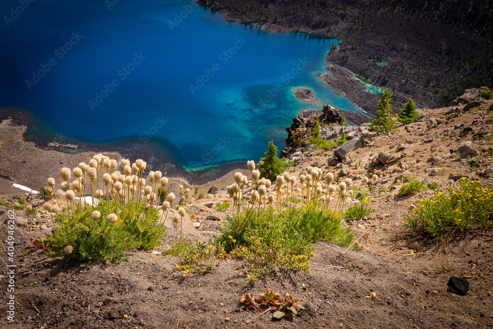 Φωτογραφία This is a close up view of an inlet of Crater Lake in Oregon, with wildflowers dotting the cliff