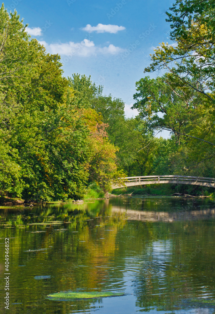 572-62 DuPage River in Summer in Naperville, IL