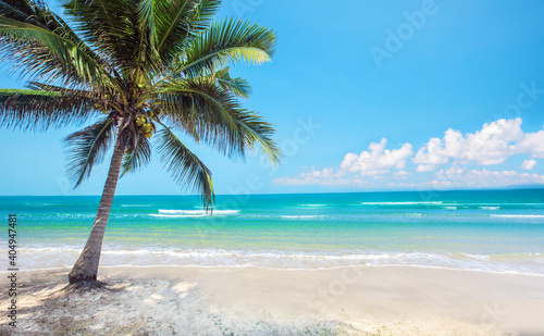 tropical beach with coconut palm tree © Alexander Ozerov
