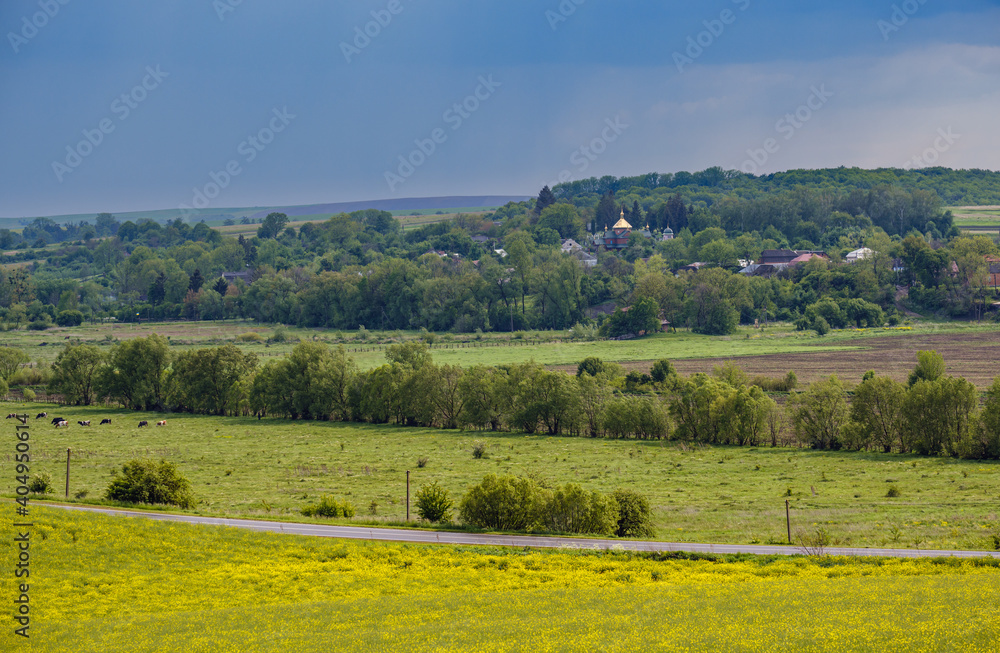 Fototapeta premium Road through spring rapeseed yellow blooming fields view, blue sky with clouds in sunlight. Natural seasonal, good weather, climate, eco, farming, countryside beauty concept.
