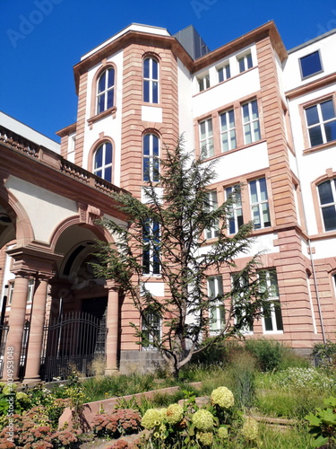 Kleine Grünanlage vor dem Senckenberg Museum im Sommer mit blauem Himmel und Sonnenschein in der Senckenberganlage im Westend von Frankfurt am Main in Hessen photo