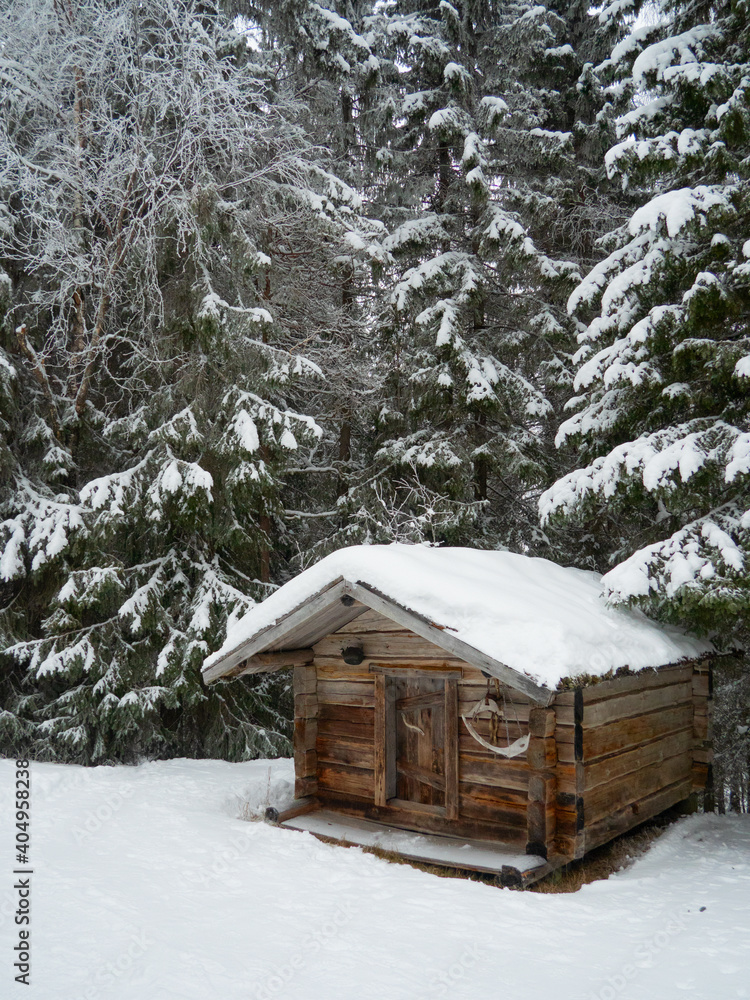 Wooden house in winter forest. Lapland house. Wooden house in winter forest. Lapland house.