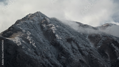 Trees that grow in winter on the mountain © Кирилл Чернорубашкин