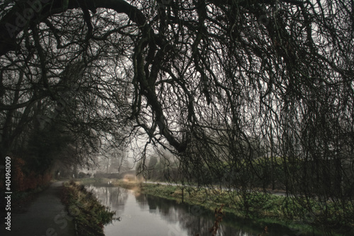 Old Irish Canal Way in Winter