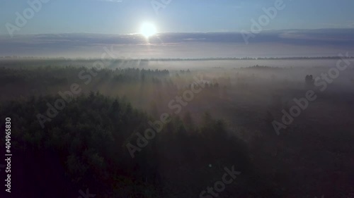 Flight over the foggy forest. Drone. 4K